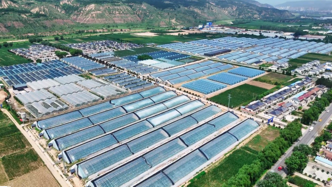 1762847253884019366.jpg bbf0e85ddcdc632ca4d7d1f107b34e19.jpg