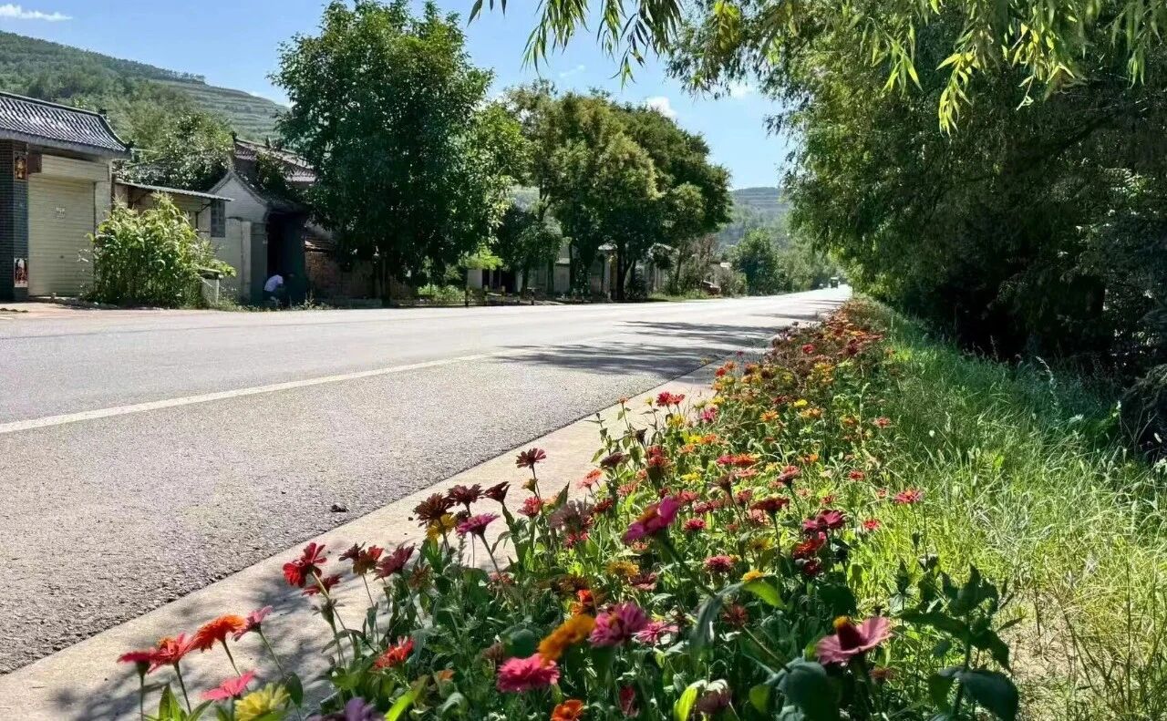 1762847323162029274.jpg 66bf30c8ab067e9d5bdb41c31d159c91.jpg